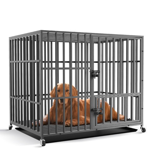 Bingopaw heavy duty pet - bingopaw,