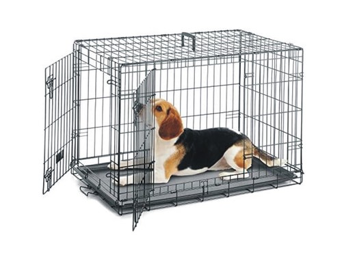 Dog cage pet - pet, puppy