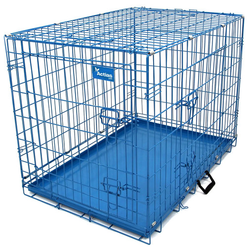 2nds blue dog - blue, puppy