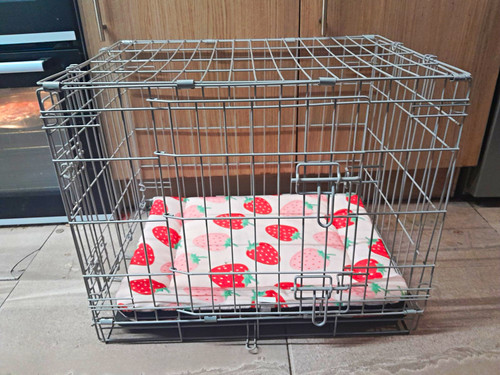 Folding steel wire dog - steel,