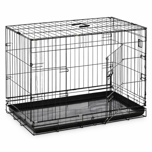 Dog cage puppy - puppy, pet