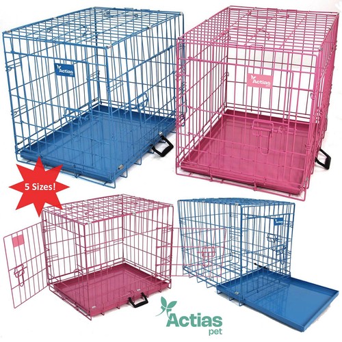 Pink blue dog - pink,