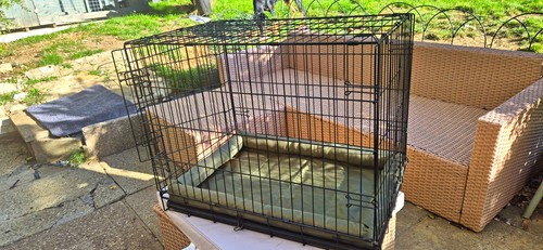 Medium folding metal dog crate - metal,