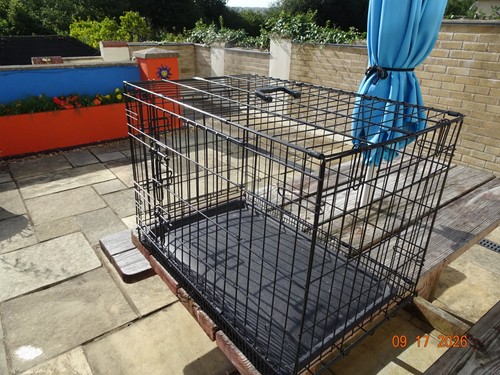 Small dog crate - small,